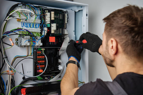 Licensed Electrical Panel Upgrade service in Capron, IL - No Joke electrician